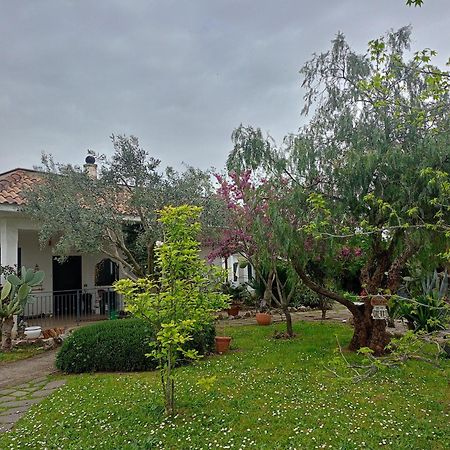 La Casa Di Fede Hotell Lanuvio Exteriör bild